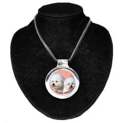 Bichon a poil frisé