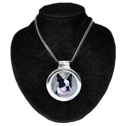 Boston Terrier