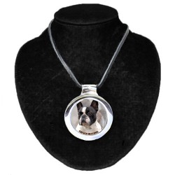 Französische Bulldogge