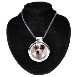 Parson Russell Terrier