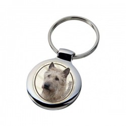 Belgischer Schäferhund - Laekenois