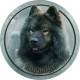 Eurasier