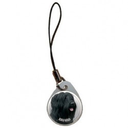 Briard