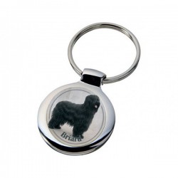 Briard