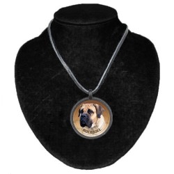 Boerboel