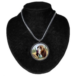 Bracco Italiano