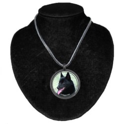 Schipperke