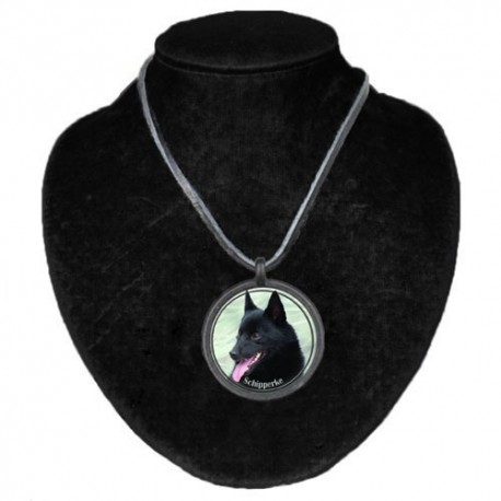 Schipperke Schipperke