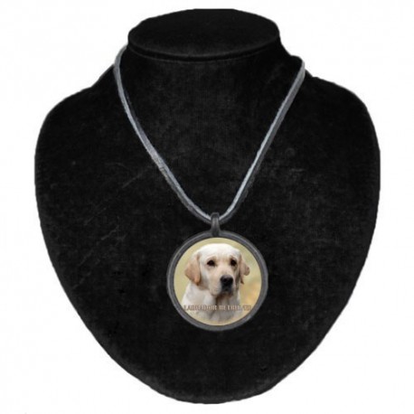 Labrador Retriever Labrador Retriever