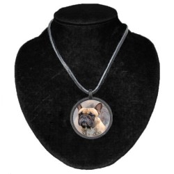 Französische Bulldogge