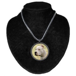 Dogo Argentino