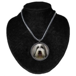 Bearded Collie