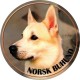 Norsk Buhund