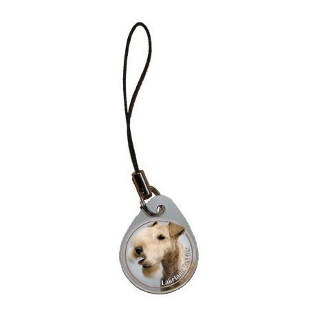 Lakeland Terrier Lakeland Terrier
