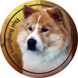 Thai Bangkaew Dog
