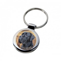 Cane Corso