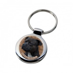 Staffordshire Bullterrier