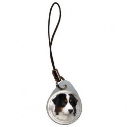 Australian Shepherd