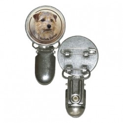 Norfolk Terrier