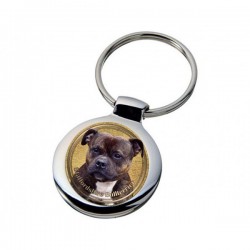 Staffordshire Bullterrier