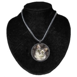 Katze