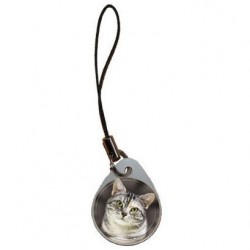 Katze