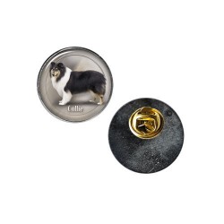 Collie Rough