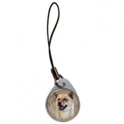 Korea Jindo Dog