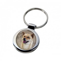Korea Jindo Dog