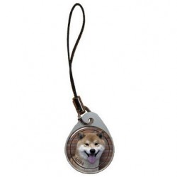 Shiba