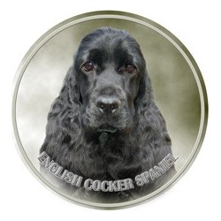 English Cocker Spaniel