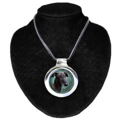 Galgo Espanol