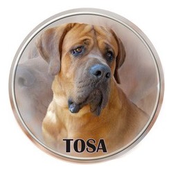 Tosa Inu