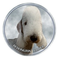 Bedlington Terrier
