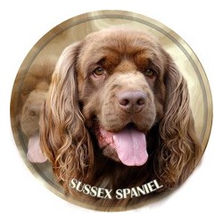 Sussex Spaniel