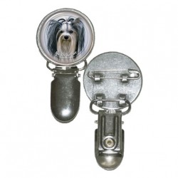 Biewer Terrier