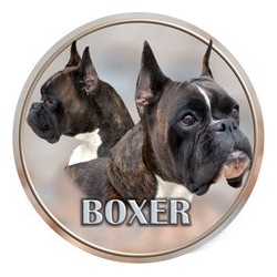 Deutscher Boxer