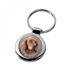 Deutscher Wachtelhund