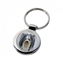 Biewer Terrier
