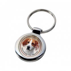 American Foxhound