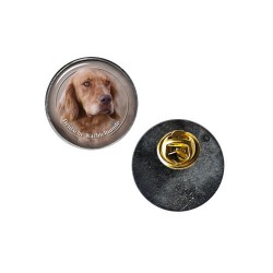 Deutscher Wachtelhund