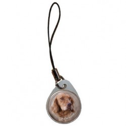 Deutscher Wachtelhund