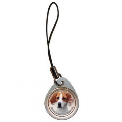 American Foxhound
