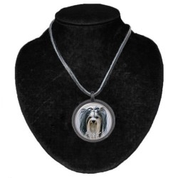Biewer Terrier