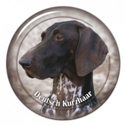 Deutscher Kurzhaariger Vorstehhund