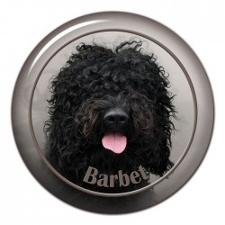 Barbet