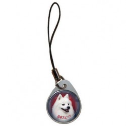 Japan Spitz