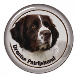 Drentse Patrijshond