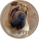Shar Pei