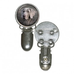 Weimaraner